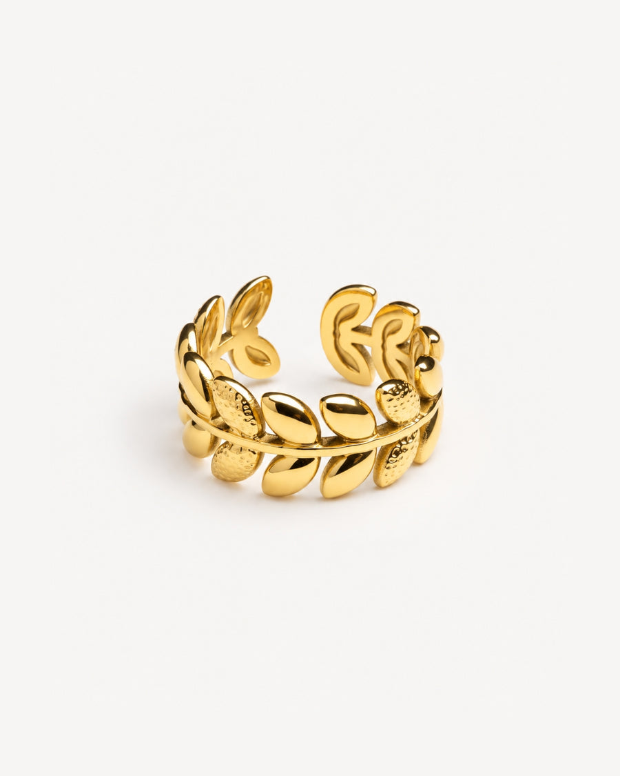 Ulivo Ring